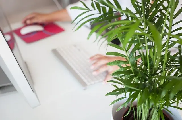 Travail à distance : comment rester efficace ?