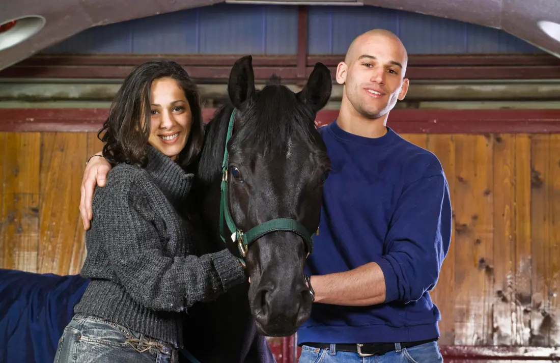 Protéger votre van et votre cheval avec une assurance adaptée